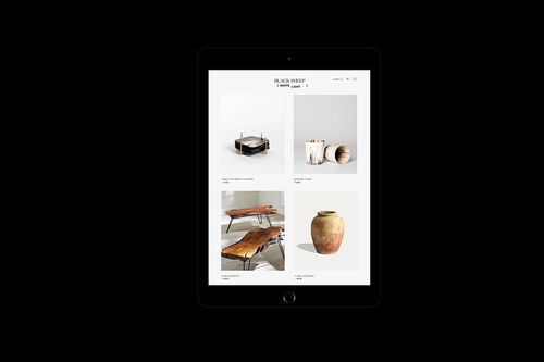 平面设计与自然室内设计产品的品牌形象构建 以BSWL为例