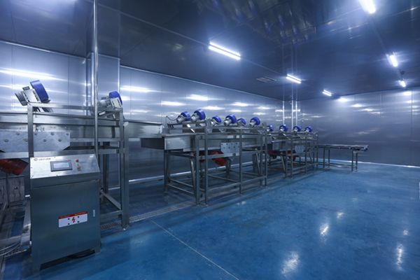 食品厂房净化车间 从布局规划、建设到维保的全方位指南