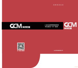 济南企业品牌设计与视觉传达 平面包装与VI图册设计的价值与选择